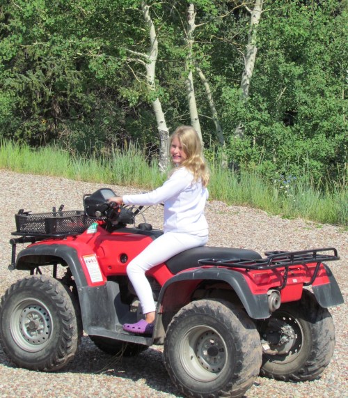 Em&4-Wheeler
