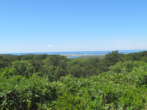 The view from the deck where we are staying